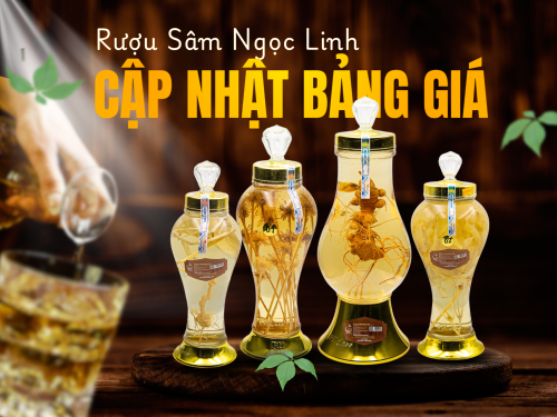 Rượu Sâm Ngọc Linh Bao Nhiêu Tiền? Cập Nhật Giá Mới Nhất 2025